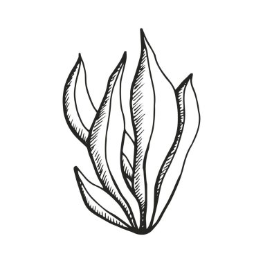 Yosun gıda akvaryum sualtı siluet vektör. derin deniz nesne