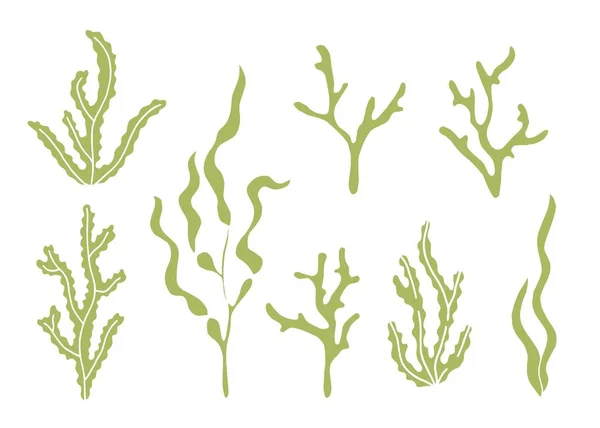 藻類食品水族館水中シルエット ベクトル 深海オブジェクト — ストックベクタ