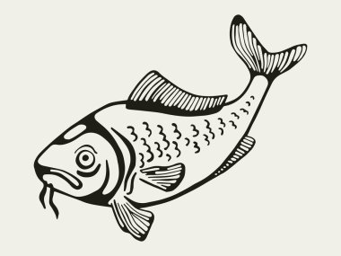 Balık el çizim vektör. Vintage yalıtılmış öğesi.