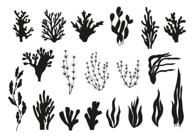 vector silhouettes yosun ve mercan kümesi