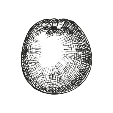 Olgun elma düz simgesi, vektör, illüstrasyon