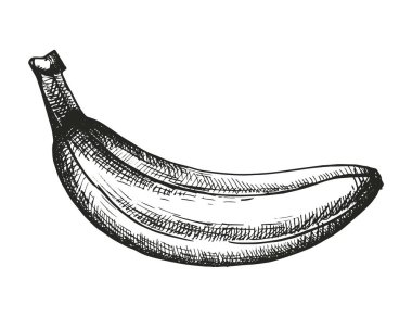 muz düz simgesi beyaz arka plan, vektör, illüstrasyon izole