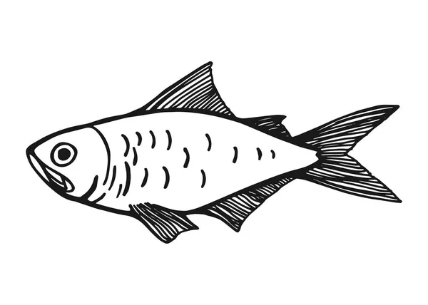 鱼手绘向量 复古绝缘元件 — 图库矢量图片