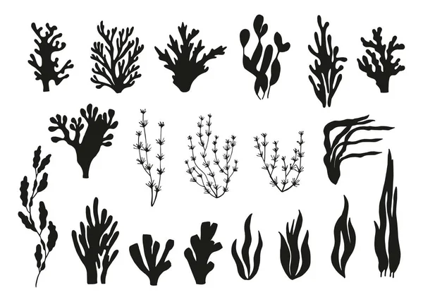 Conjunto Siluetas Vectoriales Algas Corales — Vector de stock