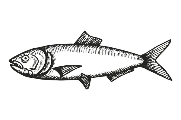 Poisson Dessin Main Vecteur Élément Isolant Vintage — Image vectorielle