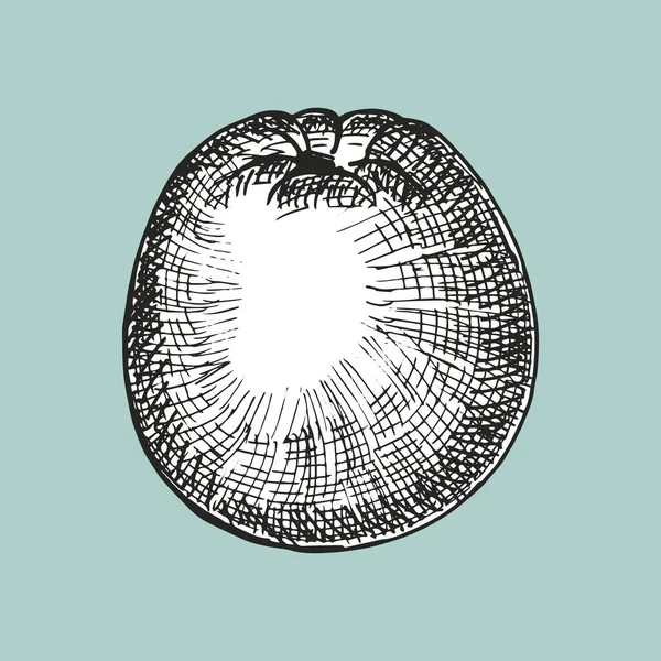 Olgun elma düz simgesi, vektör, illüstrasyon