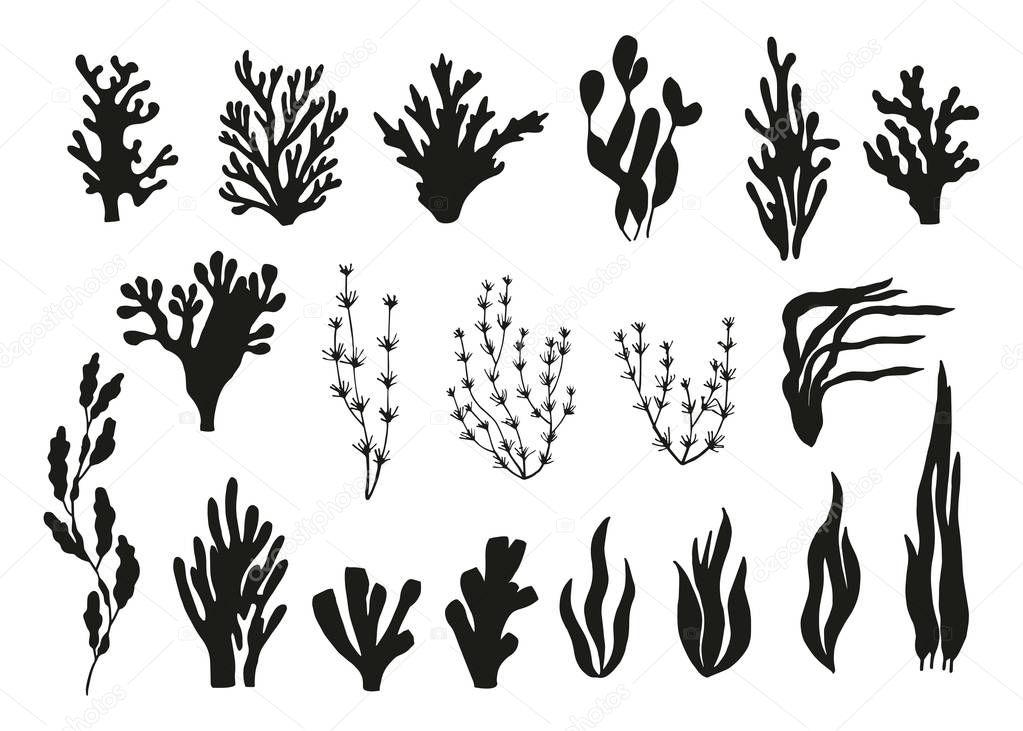 algae and corals set of vector silhouettes
