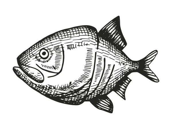 鱼手绘向量 复古绝缘元件 — 图库矢量图片