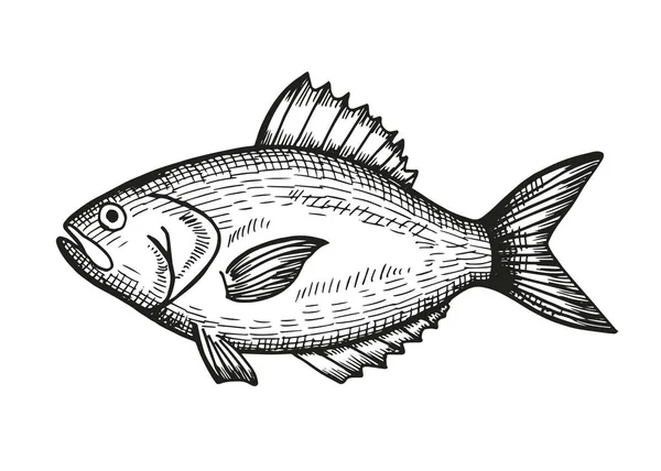 Poisson Dessin Main Vecteur Élément Isolant Vintage — Image vectorielle