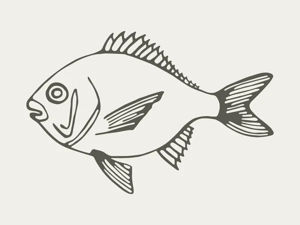 Vettore Disegno Mano Pesce Elemento Isolato Vintage — Vettoriale Stock