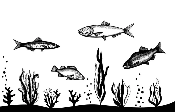Aquarium Fishes Floating Seaweed Vector Silhouette — Stock Vector