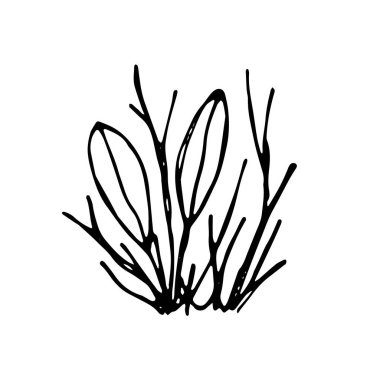 bitki yaprakları ile filiz. izole vektör