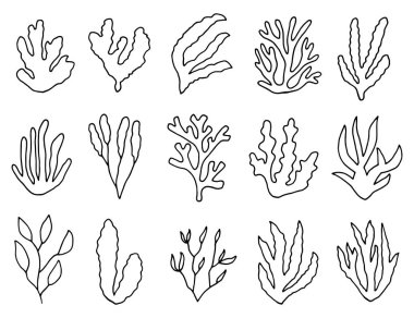 yosun izole bitkiler anahat. Doğrusal çizim nesneleri kümesi.