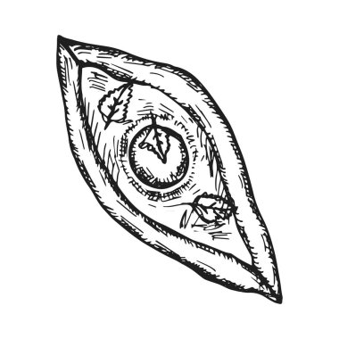 Gürcü çanak kachapuri vektör. kroki simgesi