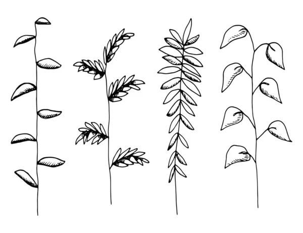 Plantes Ensemble Brindilles Feuilles Croquis Buissons Isolés — Image vectorielle