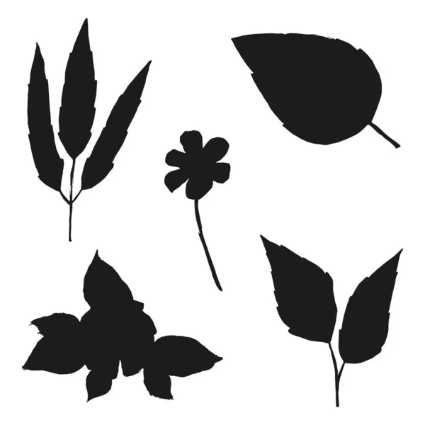 Växter Och Blommor Silhuetter Ange Isolerade Vit Bakgrund — Stock vektor