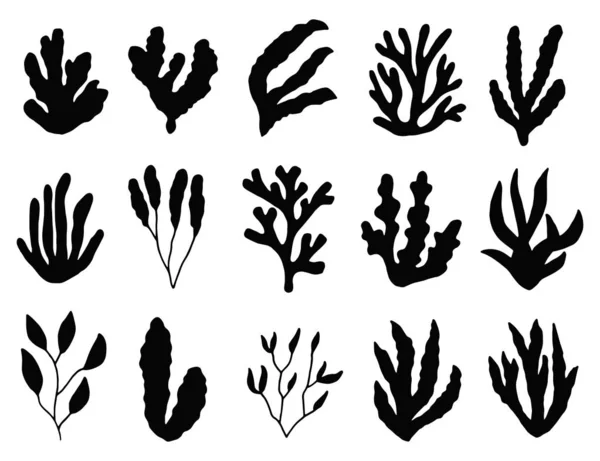 Набор Значков Водорослей Морские Растения — стоковый вектор