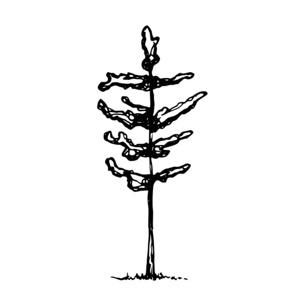 Векторный Набросок Дерева Рисование Вручную — стоковый вектор