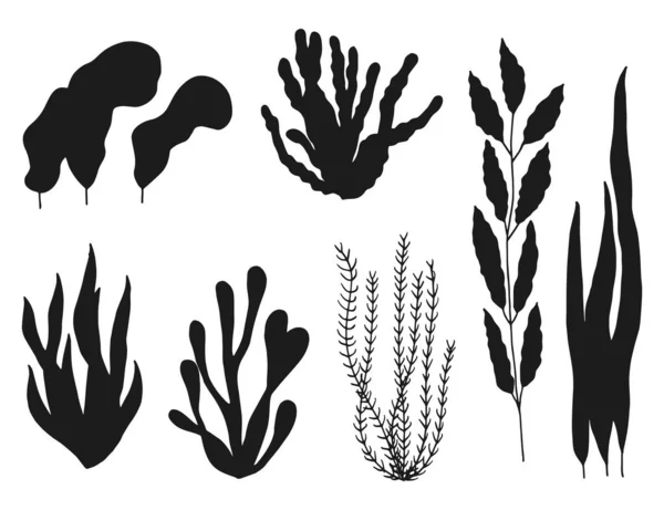 Algae Icon Set Marine Plants Isolated — Stock Vector