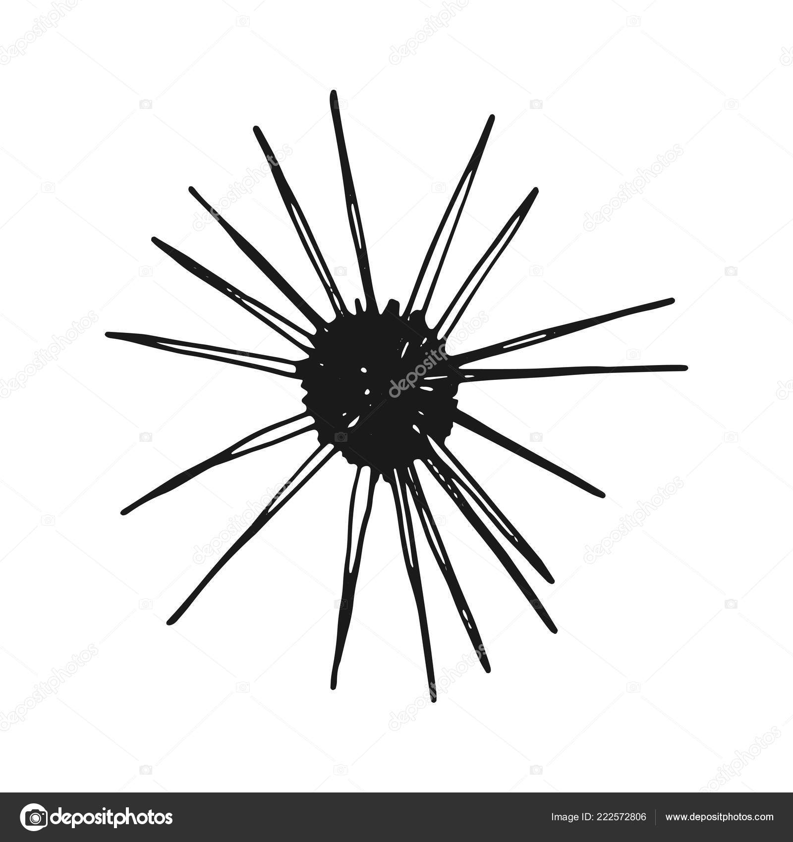 Sea Urchin Vintage Sketch Isolated Vector White Background Stock Vector C Abree 222572806 Royalty free clipart, extended license available. https depositphotos com 222572806 stock illustration sea urchin vintage sketch isolated html