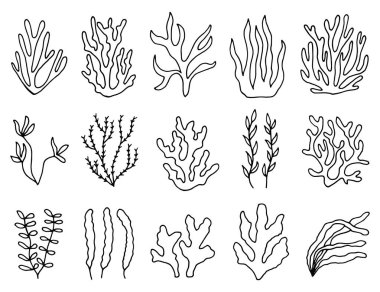 yosun Icon set. Deniz bitki izole.