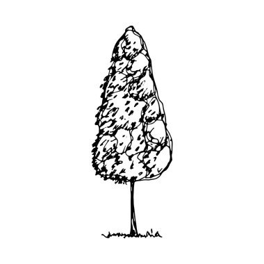 ağaç vektör kroki. el çizimi.