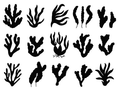 yosun Icon set. Deniz bitki izole.