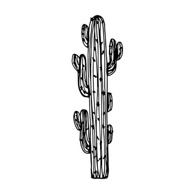 kaktüs iğneler vektör ile büyük.