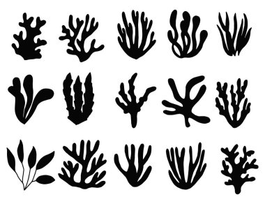 yosun Icon set. Deniz bitki izole.