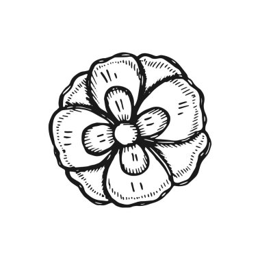 Botanik vektör çiçek çizilmiş. Vintage yalıtılmış öğesi.