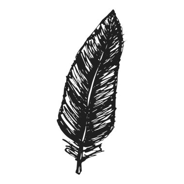 tüy kuş simge vektör kroki. izole çizim.