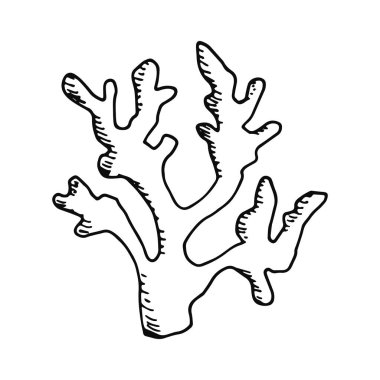 yosun Icon set. Deniz bitki izole.