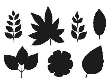 bitkiler ve çiçekler siluetleri ayarlayın. Beyaz arka plan üzerinde izole.