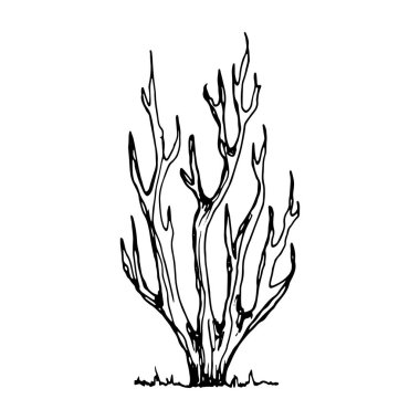 ağaçlar sketch vektör. el çizimi.