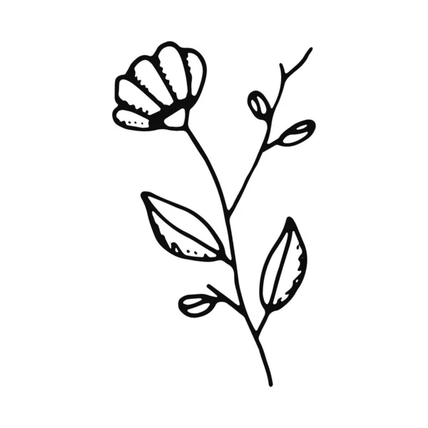 Иконка Цветочного Наброска Изолированный Объект — стоковый вектор