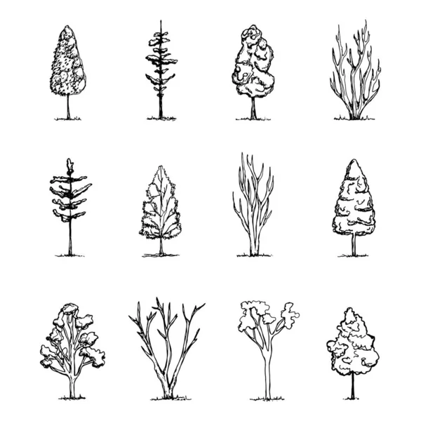 Ağaçlar Sketch Vektör Çizimi — Stok Vektör
