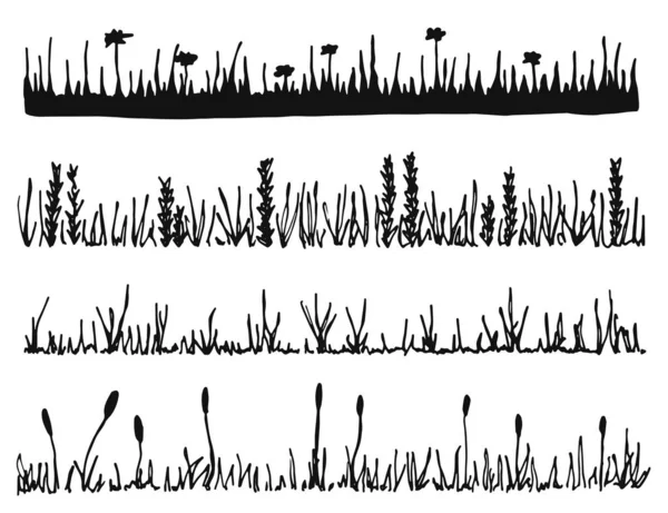 Herbe Plantes Vecteur Pelouse Isolée — Image vectorielle