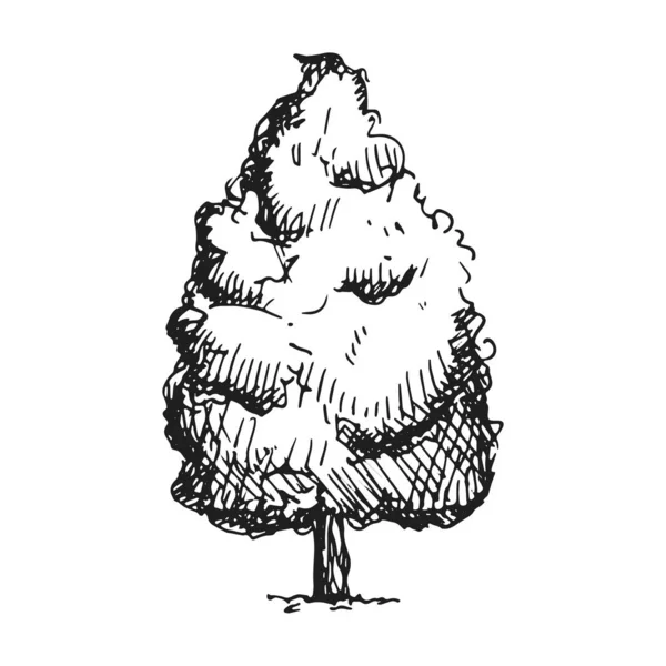 Esboço Vetorial Árvore Desenho Manual — Vetor de Stock