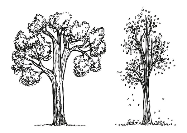 Δέντρα Διανυσματικά Σκίτσο Χέρι Σχεδίασης — Διανυσματικό Αρχείο