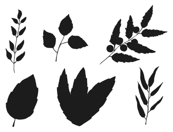 Planten Silhouetten Set Geïsoleerd Witte Achtergrond — Stockvector