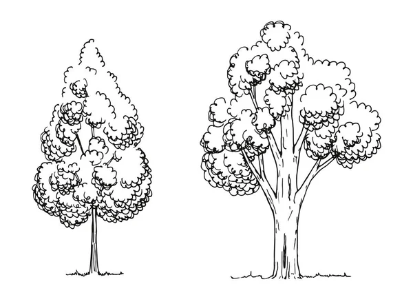 Bäume Vektorskizze Handzeichnung — Stockvektor