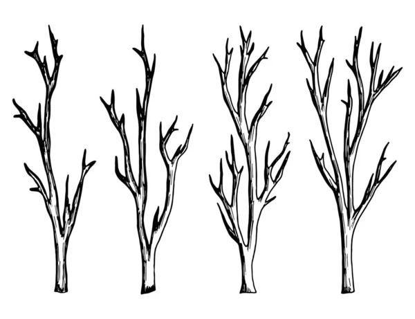 Disegno Ramoscelli Vettore Monocromatico Fatto Mano Isolato — Vettoriale Stock