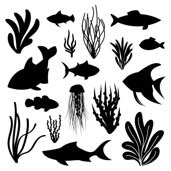 Seaweed Sea Fish Set Vector Silhouettes Marine Life Plants Isolated — Stock Vector