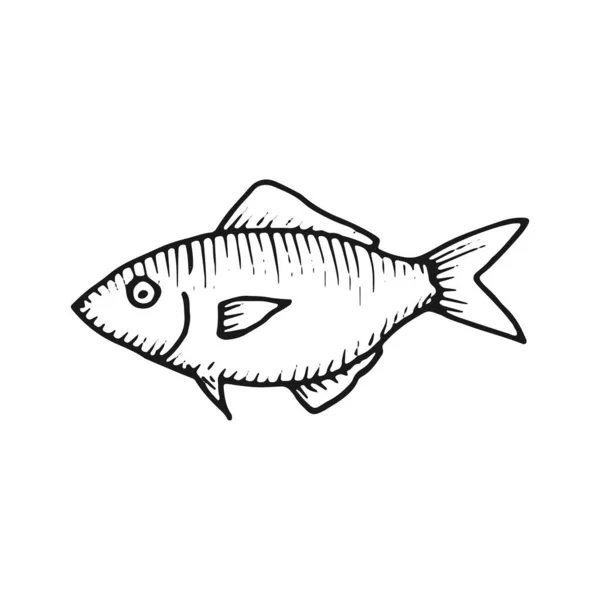 Vettore Disegno Mano Pesce Elemento Isolato Vintage — Vettoriale Stock