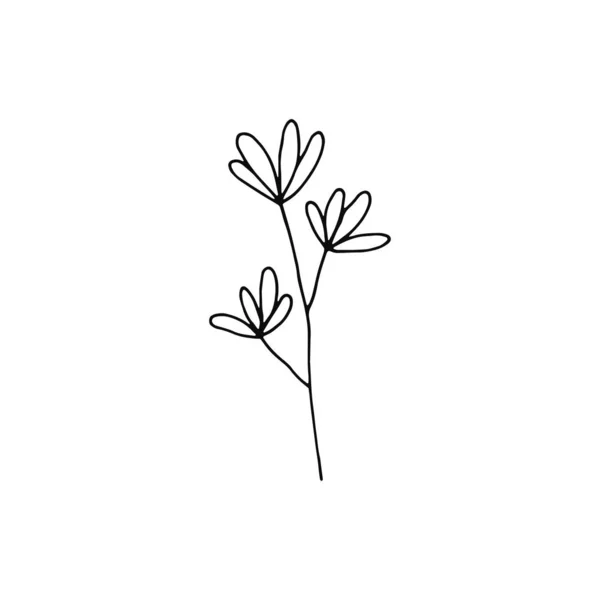 Rostlina Větvička Květy Ikonou Načrtněte Izolovaný Objekt — Stockový vektor