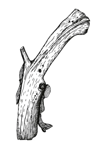枝に葉 孤立したシルエット — ストックベクタ
