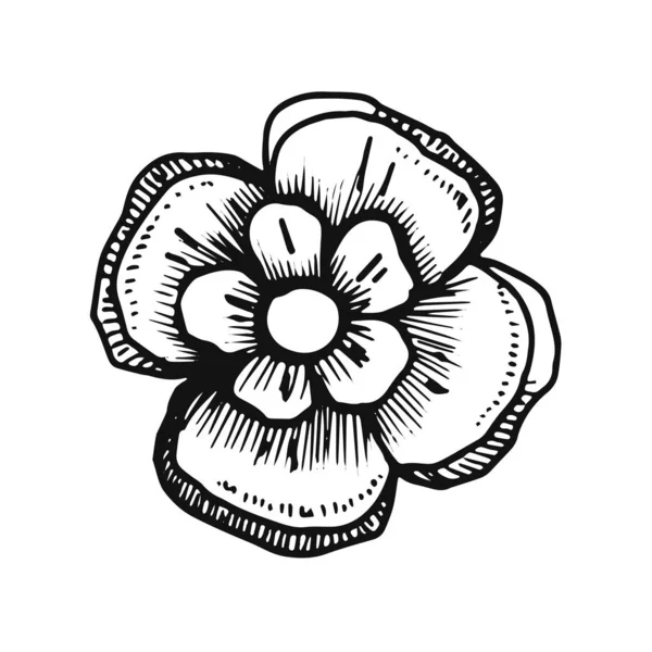 Croquis Fleur Vecteur Silhouette Isolée — Image vectorielle