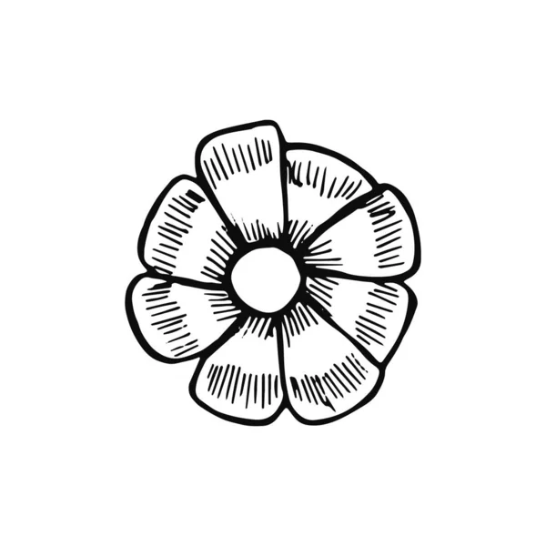 Icône Fleur Croquis Objet Isolé — Image vectorielle