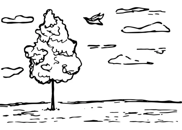 Bäume Vektorskizze Handzeichnung — Stockvektor