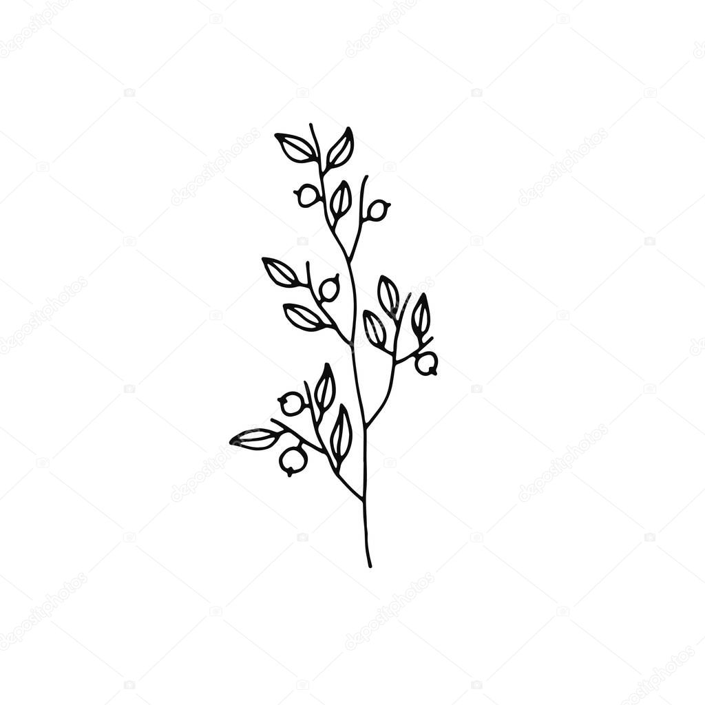 plant twig with berries icon. sketch isolated object.